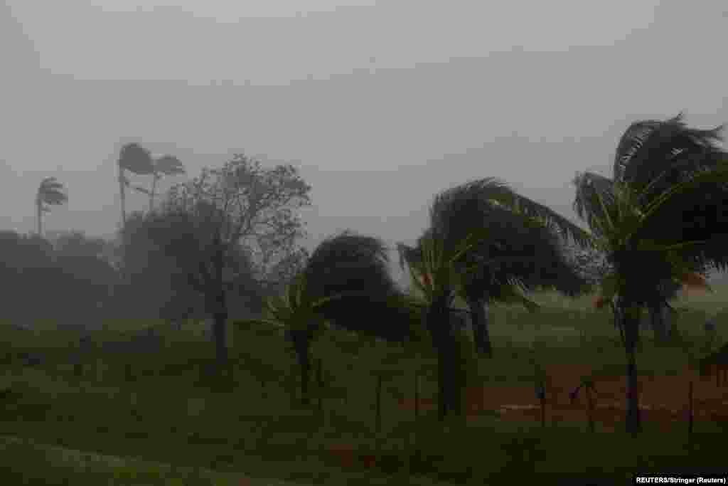 Fuertes vientos y  lluvias impactaron los cultivos después de que el huracán Ian tocara tierra antes en la provincia cubana de Pinar del Río, en Consolación del Sur, Cuba, el 27 de septiembre de 2022. REUTERS/Stringer 