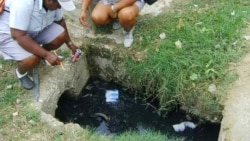 Alarmante epidemia de dengue en Cienfuegos Alarmante epidemia de dengue en Cienfuegos