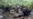 Un nuevo "atajo" en la ruta de los cubanos a EEUU, alerta Bloomberg (VIDEO)