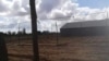 Campos de tabaco en San Juan y Martínez