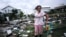 Una residente de Horseshoe Beach, Florida, contempla los daños causados por Idalia en esa localidad. (AP/Rebecca Blackwell)