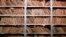Los expedientes de la Seguridad del Estado de la extinta RDA, conservados gracias a la acción de un grupo de anticomunistas que tomaron la sede de la STASI (Foto: Tobias Schwartz/AFP).