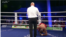 Yoan Pablo derrotado por KO.