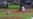 MLB: buen desempeño de cubanos Heredia e Iglesias