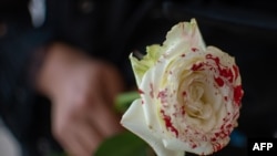 Una mujer sostiene una rosa ensangrentada.