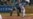 Jonrón de 439 pies del cubano Yasiel Puig